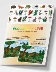 EKOLÍNEK V LESE